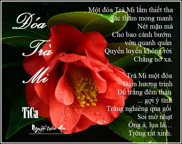 Tranh_Thơ TiCa - Page 6 49doatrami